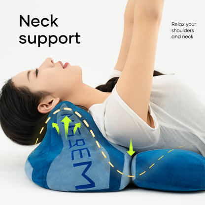 Fat Cat Pillow(with three color pillowcase)